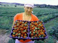Мальвина