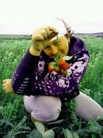 Сирия
