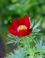 IMG_1381.JPG