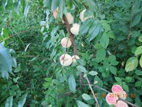 DSCN3734.JPG