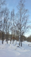 2012-12-09-247.jpg