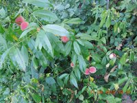 DSCN3732.JPG
