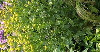 WP_20150809_13_27_01_Pro.jpg