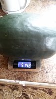 20150816_155952.jpg