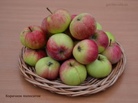 korichnoe_2015_1.jpg
