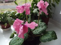 DSCF1491.jpg