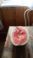 20150819_085023.jpg