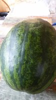 20150819_084412.jpg