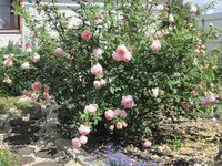 IMG_1964.JPG