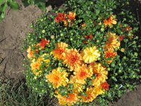 IMG_1978.JPG