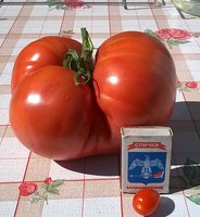 WP_20150822_13_55_56_Pro.jpg