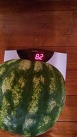 20150823_181226.jpg