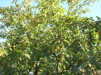 DSCN3141.JPG