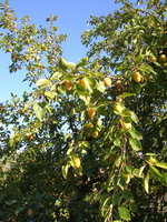 DSCN3143.jpg