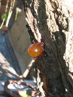 DSCN3137.jpg