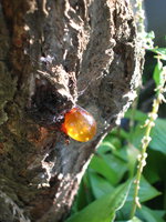 DSCN3138.jpg