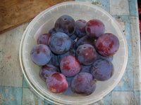 DSCN3144.JPG