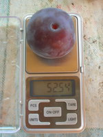 DSCN3147.jpg