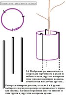 Защита.jpg