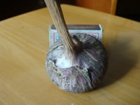 DSC09940.JPG