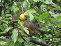 IMG_56622.jpg