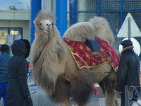 copDSC00938.jpg