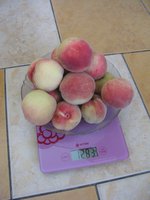 IMG_0235.JPG