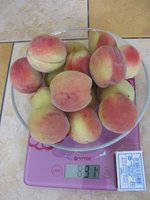 IMG_0248.JPG