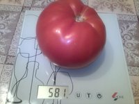 Изабель