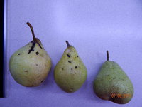 DSCN1352.JPG