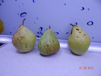 DSCN1349.JPG