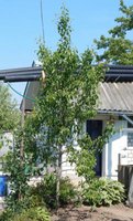 DSCN0327.JPG