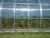 2015-07-26 10-45-03.JPG