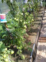 2015-07-26 10-44-36.JPG