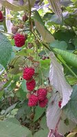 WP_20150910_12_50_14_Pro.jpg