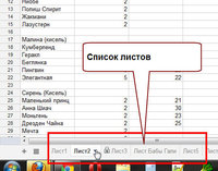 листы.jpg
