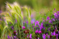 2250x1490_648023_[www.ArtFile.ru].jpg