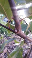 20150917_155408.jpg