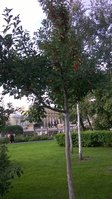 WP_20150916_17_35_49_Pro.jpg