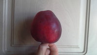 20150923_093701.jpg