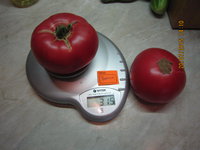 IMG_8785.JPG