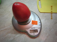 IMG_8790.JPG