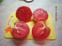 IMG_8791.JPG