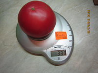 IMG_8792.JPG