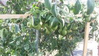 20150831_150748.jpg