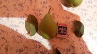 20150907_213820.jpg