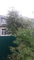 20151002_105440.jpg