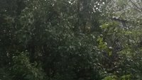 20151002_105349.jpg
