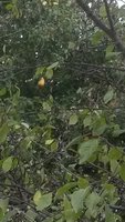 20151002_105504.jpg
