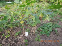 DSCN3853.JPG